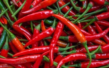 Khoa học chứng minh: Ăn cay 1 hoặc 2 lần mỗi tuần có thể sống lâu hơn 10%