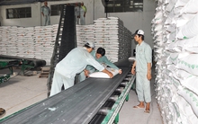 Đường đẩy giá mía tăng, nông dân lãi khá