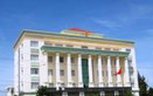 Cục trưởng Cục thuế đề nghị vợ làm cục phó