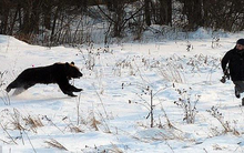 Đừng để tiền rơi, hãy làm điều này khi thị trường bất ngờ sụt giảm mạnh!