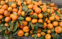 Quảng Ninh: Bắt giữ 4,8 tấn quýt Trung Quốc nhập lậu