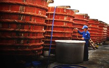 Nước mắm truyền thống gặp khó vì... pháp lý!