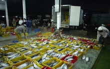 Trả tiếp cổ tức đợt 4/2015 tỷ lệ 7%, Thủy sản Bến Tre (ABT) nâng cổ tức 2015 lên 52%