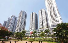 Loạn số liệu về thị trường BĐS tại TPHCM