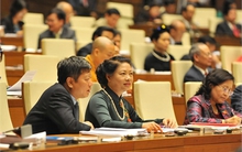 Chủ tịch nước, Thủ tướng nhìn lại nhiệm kỳ