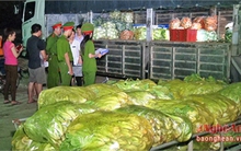 Rau cải Trung Quốc nhiễm độc thuốc sâu gấp 8 lần