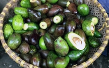 Một tạ bơ thối, nát thành 300 cốc sinh tố thơm ngon