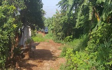 Trong tháng 9/2016, TPHCM sẽ ban hành quyết định mới chấn chỉnh việc phân lô, bán nền