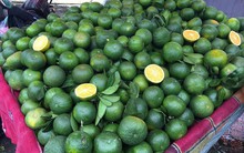 100 tấn cam Tàu/ngày: Dân Hà thành mua biếu tặng nhau