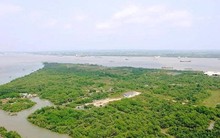 Ăn theo siêu dự án tỷ USD, canh bạc của dân nhà giàu