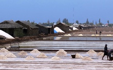 Muối Bạc Liêu tràn đồng, kho dự trữ hoang phế