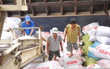 Nông dân méo mặt vì... giá lúa tăng!