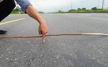 CIENCO1 “phủ nhận” cáo buộc của Thanh tra Chính phủ