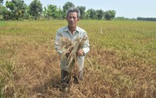 Ứng phó với các đập thủy điện trên dòng chính Mê Kông: Khi ta tự hại ta!