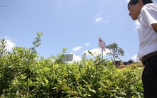 Ba lần gia hạn, doanh nghiệp vẫn không được giao đủ đất