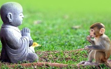 Những giá trị cuộc sống khiến chúng ta phải suy ngẫm