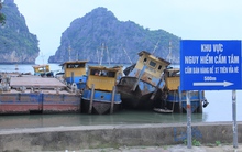 'Đống sắt vụn' hàng trăm tỷ gây ô nhiễm vịnh Hạ Long