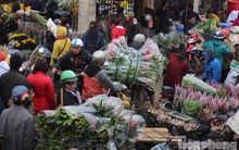 Hoa ly gập chợ vẫn đắt như tôm tươi