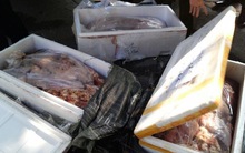 Cục Thú ý nói gì về tình trạng thịt bẩn, nội tạng thối?