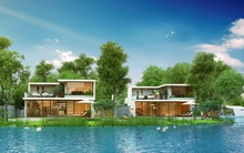 Phó tổng giám đốc Đất Xanh trở thành Chủ tịch HĐQT của LDG