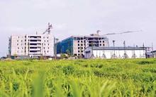 Mua Dự án Thanh Hà-Cienco5: Mường Thanh phải đàm phán lại