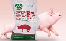 Vốn điều lệ 200 tỷ, ANCO thu lãi ròng gần 930 tỷ trong 9 tháng