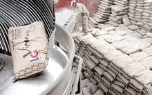 Tiêu thụ xi măng nội địa ngày càng tăng