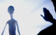 Vi phạm quy định ngăn ngừa xung đột lợi ích với các bên, Chủ tịch và TGĐ Quốc tế Sơn Hà bị phạt 120 triệu đồng