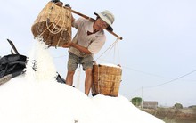 Bán 20kg muối chưa mua được chai nước mắm