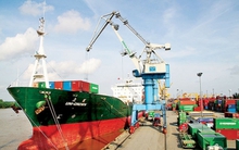 Lợi nhuận cao, cổ phiếu cảng biển lên ngôi