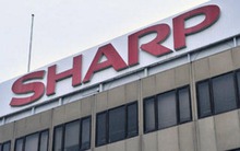 Sharp tái cơ cấu, cắt chức 21/22 vị trí cấp cao