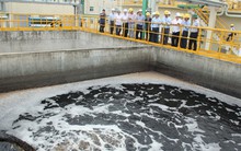 Bộ trưởng Trần Hồng Hà buộc Formosa đưa ống xả thải lên