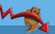 Gần 1/2 giá trị mua ròng của khối ngoại trong hai năm qua thuộc về 1 tổ chức duy nhất