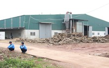 Tạm đình chỉ công ty xảy ra vụ nổ làm 11 người bị thương