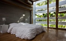 Những ngôi nhà được thiết kế "chẳng giống ai" của KTS Võ Trọng Nghĩa