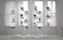 Mãn nhãn với vách ngăn độc, lạ cho căn hộ chung cư