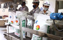 Cổ phiếu các ông lớn ngành phân bón đã “tỉnh giấc”?