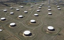 Giá dầu hồi phục khi dầu lưu kho Mỹ giảm tuần thứ 9 liên tiếp