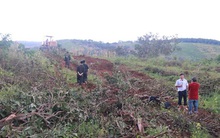 Đắk Nông: Vì sao bắt Phó giám đốc Cty Long Sơn?