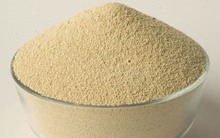 Đậu nành đã giúp Thủy sản Hùng Vương "thăng hoa" nhưng cũng có thể "gây họa"?