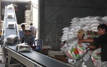 Xuất khẩu gạo khởi sắc đầu năm 2016