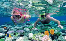 Nghịch lý của Vietravel: Công ty lữ hành số 1 với doanh thu hơn 4.000 tỷ, nhưng lãi không bằng một khách sạn cỡ vừa