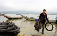 Dân nuôi hàu Lăng Cô đứng ngồi không yên vì thông tin ăn hàu gây ung thư