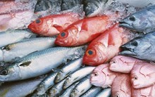 Quảng Bình tồn đọng 3500 tấn hải sản đông lạnh