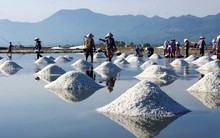 Siêu dự án thép 230.000 tỷ của Hoa Sen “thừa kế” Vinashin-Lion