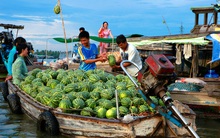 Hai Bộ Công – Nông bắt tay, đặt mục tiêu xuất khẩu 31 tỷ USD nông lâm thủy sản, gấp gần 10 lần dầu thô