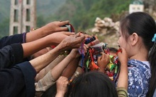 "Tôi đến Việt Nam là đi cho biết, và sẽ không quay lại đất nước của bạn một lần nữa đâu..."