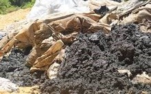 Sở TN&MT Hà Tĩnh cấp 'bảo bối' cho Formosa?