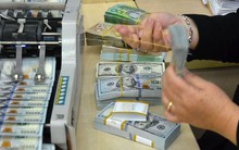 Tất cả các tổ chức tín dụng đã hủy mua ngoại tệ kỳ hạn với NHNN