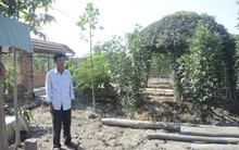 Đình chỉ điều tra vụ dựng chòi lá cạnh quán Xin Chào